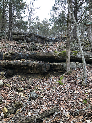 rock formation in woods